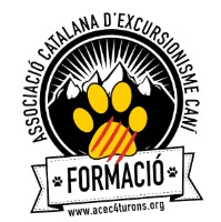 Foto del organizador